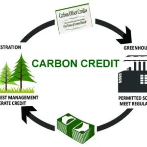 Certificate in Carbon Credits